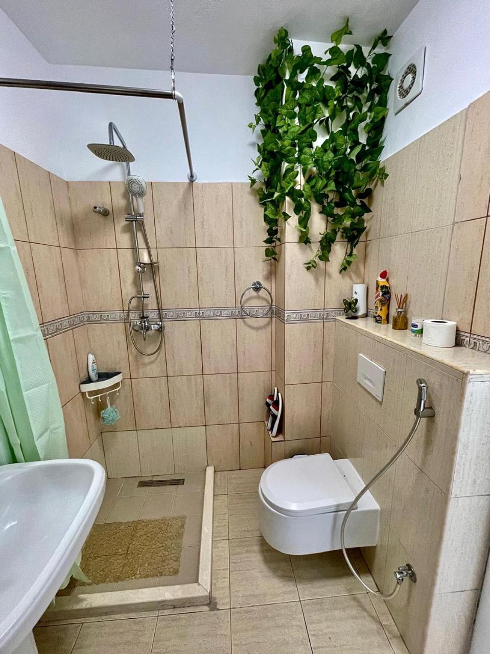 Flex Apartment Tirana Exteriör bild